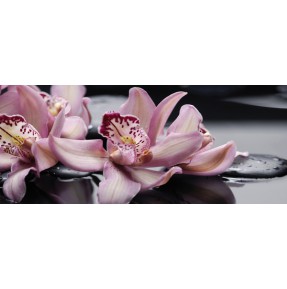 Панно Porto Orchide lila «Orchide lila»